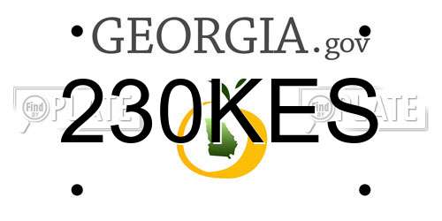 230KES Georgia License Plate