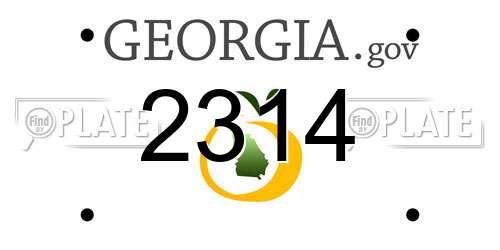 2314 Georgia License Plate