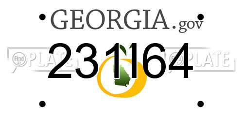 231I64 Georgia License Plate