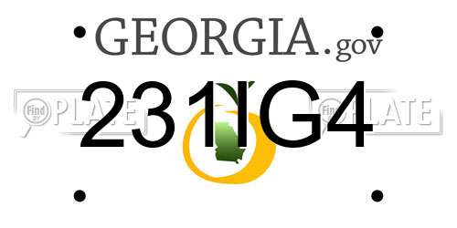 231IG4 Georgia License Plate