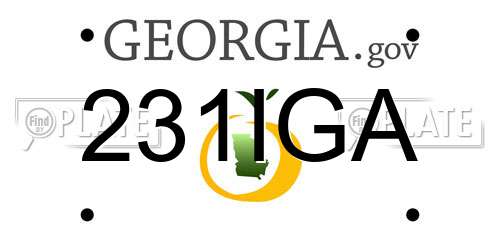 231IGA Georgia License Plate