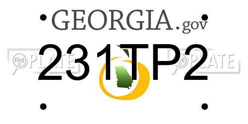 231TP2 Georgia License Plate
