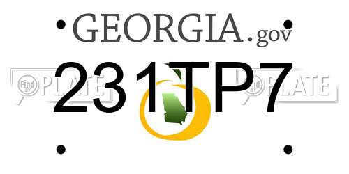 231TP7 Georgia License Plate