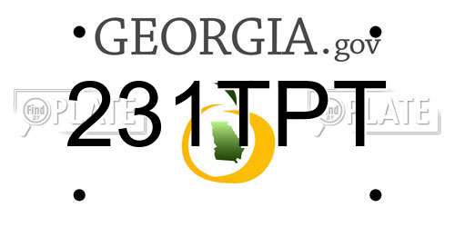 231TPT Georgia License Plate