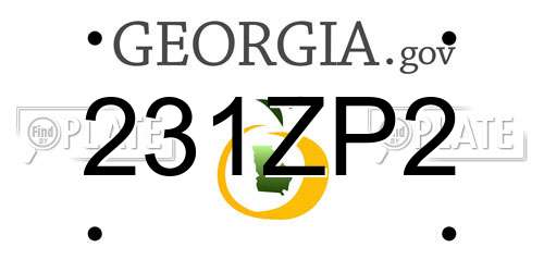 231ZP2 Georgia License Plate