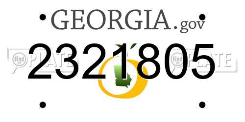 2321805 Georgia License Plate