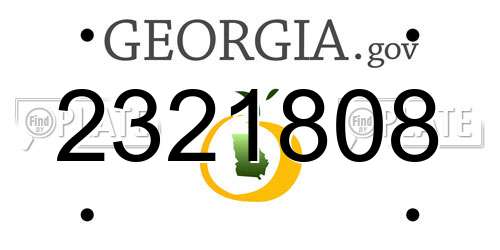 2321808 Georgia License Plate