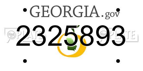 2325893 Georgia License Plate