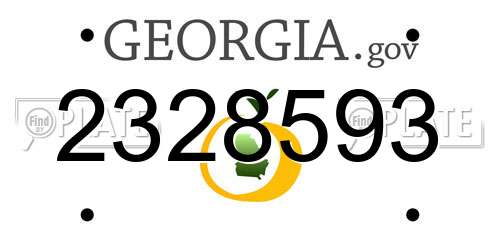 2328593 Georgia License Plate