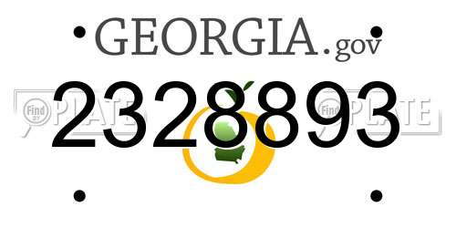 2328893 Georgia License Plate