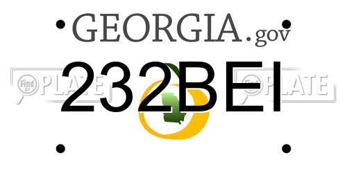 232BEI Georgia License Plate