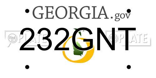 232GNT Georgia License Plate