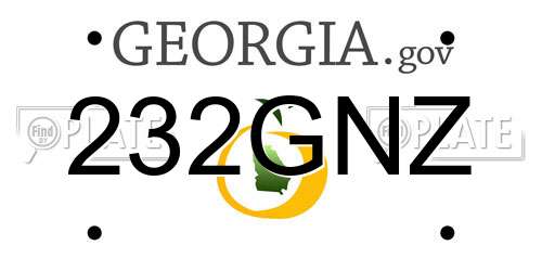 232GNZ Georgia License Plate