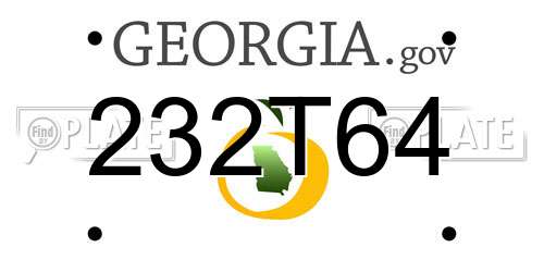 232T64 Georgia License Plate