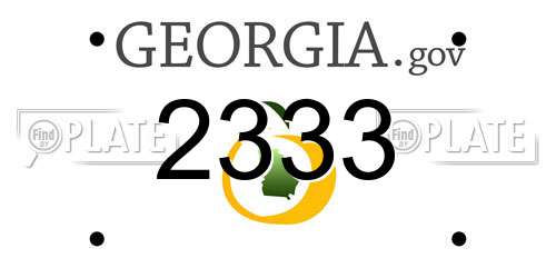 2333 Georgia License Plate