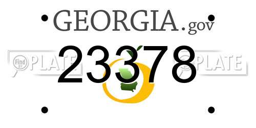23378 Georgia License Plate