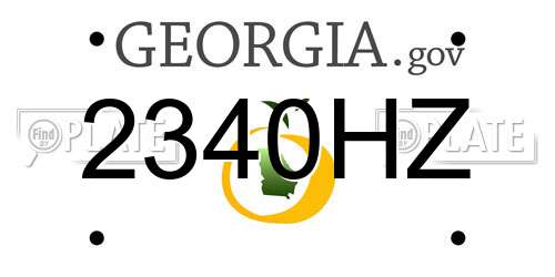 2340HZ Georgia License Plate