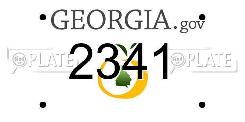 2341 Georgia License Plate