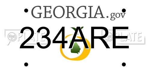 234ARE Georgia License Plate