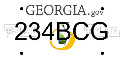 234BCG Georgia License Plate
