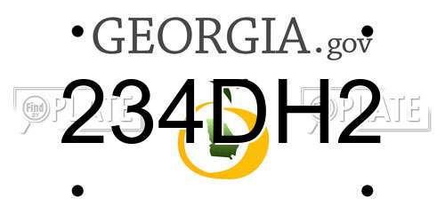 234DH2 Georgia License Plate