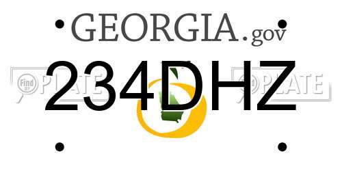 234DHZ Georgia License Plate