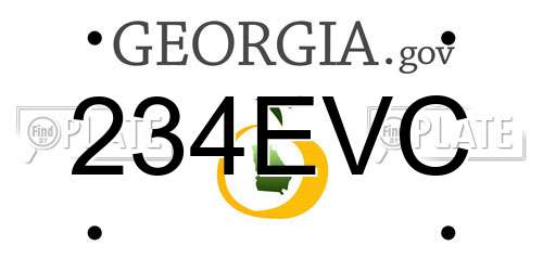 234EVC Georgia License Plate