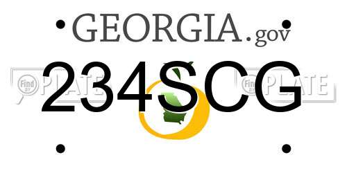 234SCG Georgia License Plate