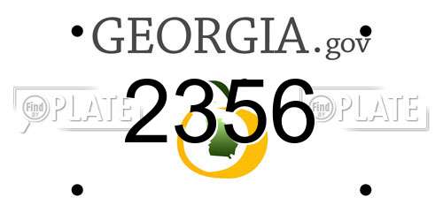 2356 Georgia License Plate