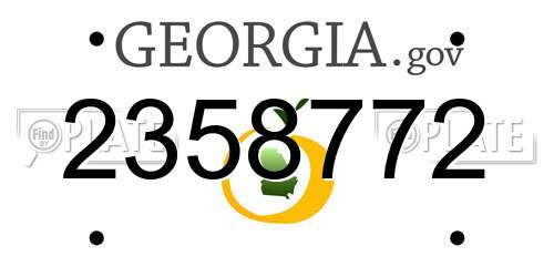 2358772 Georgia License Plate