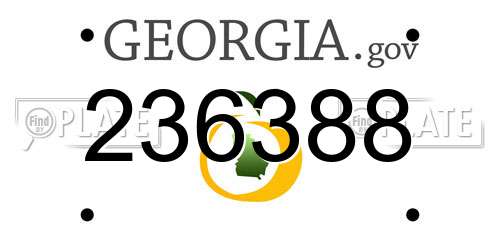 236388 Georgia License Plate