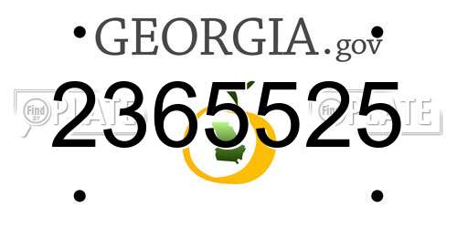 2365525 Georgia License Plate
