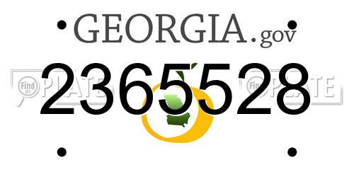 2365528 Georgia License Plate