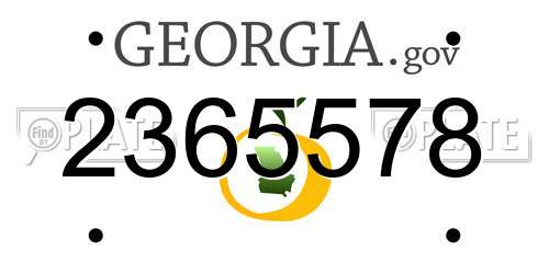 2365578 Georgia License Plate