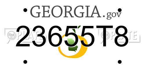 23655T8 Georgia License Plate