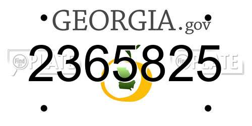 2365825 Georgia License Plate