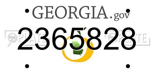 2365828 Georgia License Plate