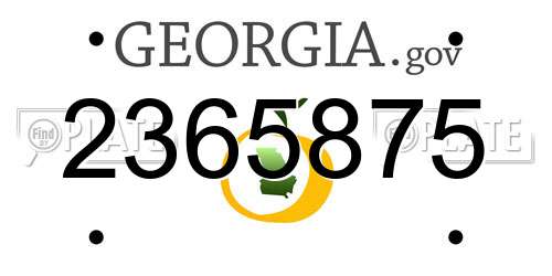 2365875 Georgia License Plate
