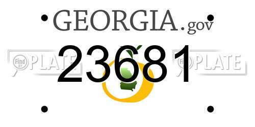23681 Georgia License Plate