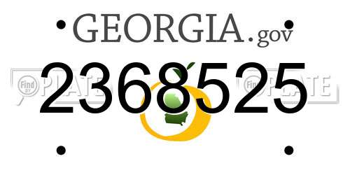2368525 Georgia License Plate