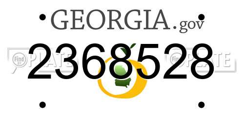 2368528 Georgia License Plate