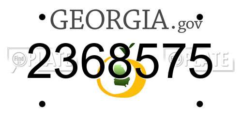 2368575 Georgia License Plate
