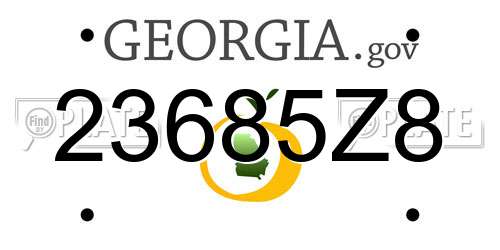 23685Z8 Georgia License Plate