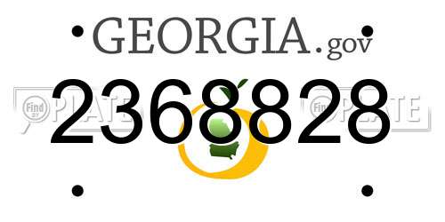 2368828 Georgia License Plate