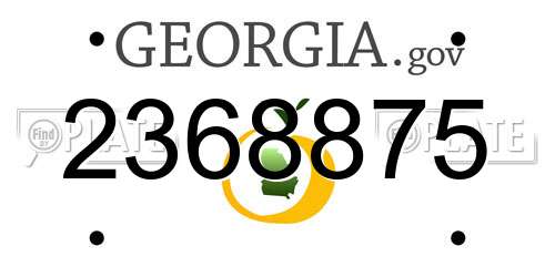 2368875 Georgia License Plate