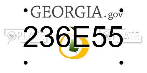236E55 Georgia License Plate