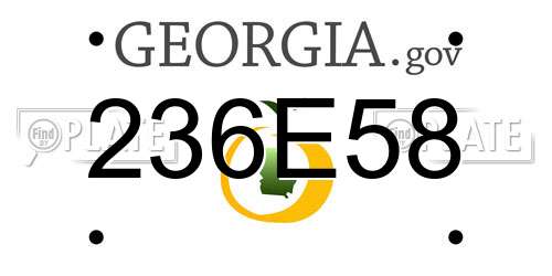 236E58 Georgia License Plate
