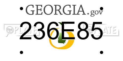 236E85 Georgia License Plate