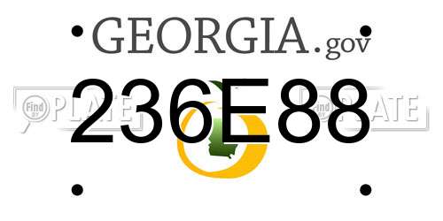 236E88 Georgia License Plate