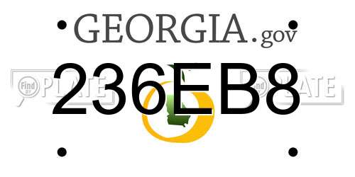 236EB8 Georgia License Plate